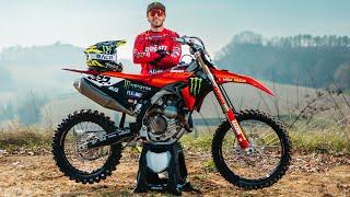 Dirt Shark  DUCATI x CAIROLI