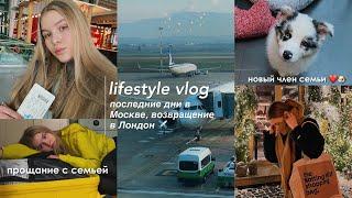 lifestyle vlog ️ перелет Москва - Лондон окрашивание в блондинку  мы завели собаку ️