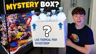 BUYING a $1000 MYSTERY BOX for My SALTWATER AQUARIUM