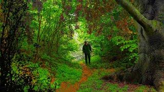 Digging up LOST VALUABLES on an ancient fairytale path Metal Detecting Germany Nr.199