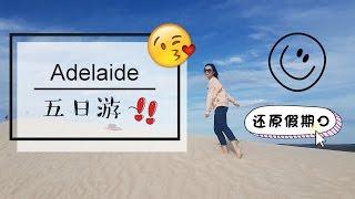 Jackie JQ  阿德莱德五日游「VLOG Adelaide」抱到考拉了！