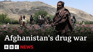 Inside the Talibans war on drugs - BBC News