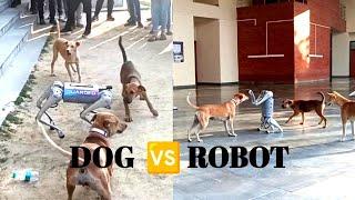 Dog Vs Robot In IIT Kanpur    #dog #robotic  #iit #iit_motivation