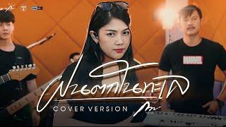 ฝนตกในทะเล - รัชนก ศรีโลพันธุ์ cover version  by กวาง จิรพรรณ