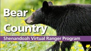 Virtual Ranger Program Bear Country