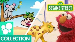 Sesame Street Wild Animals  Elmos World