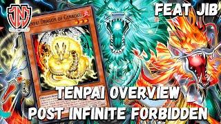 Yugioh Tenpai Overview Post Infinite Forbidden Meta Contender? Ft. Team JNC Jib