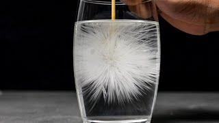 5 AMAZING TRICKS AND EXPERIMENTS  Science Experiments Water tricks Easy Experiments