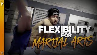 Flexibility for Martial Arts