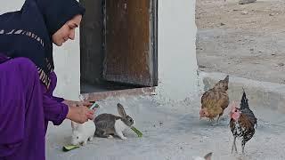 Nomadic Life of Bakhtiari Families in Karun