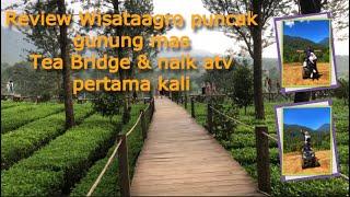 NAIK ATV DI PUNCAK BOGOR GUNUNG MAS & TEA BRIDGE LAGI HITS SERU BANGETT