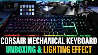 Best Budget Mechanical Keyboard 2024  Mechanical Keyboard Unboxing  RGB Keyboard Lighting Effects