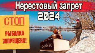 НЕРЕСТОВЫЙ ЗАПРЕТ 2024 На что ловить можно Рыбалка на спиннинг под запретом?