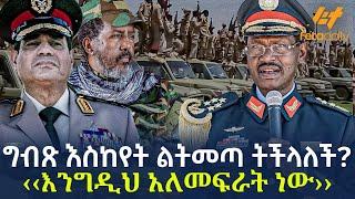 Ethiopia - ግብጽ እስከየት ልትመጣ  ትችላለች? ‹‹እንግዲህ አለመፍራት  ነው››