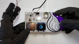 Defcon Tor Project Lie Detector Badge Overview