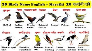 20 birds name in english and marathi for kids  20 पक्ष्यांची नावे इंग्रजी व मराठी भाग 5 