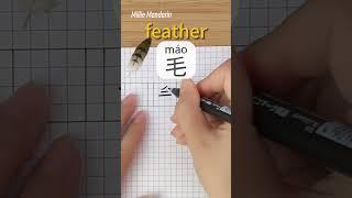 Learn Chinese Character⎮Mao FEATHER⎮Handwriting⎮Chinese Hanzi⎮Write Chinese⎮Millie Mandarin