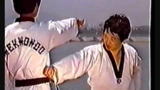 Taekwondo WTF. История Taekwondo. Техника боя.