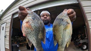 SHOCKING SIZE SHELLCRACKERS & BLUEGILLS CLEAN & COOK