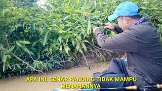 Dapat Tarikan Keras Dari Penghuni Sungai Saat Mancing Udang Galah Babon