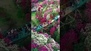 Garden# is so #beautiful# in france# porn # xxx# hd# video #