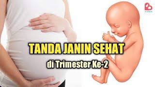 Tanda Janin Sehat di Trimester Kedua Kehamilan