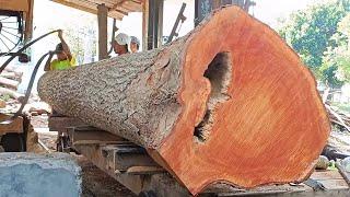 Sawing 4.5 meter long old mahogany wood into board which thick