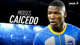 Moises Caicedo ● Chelsea Transfer Target ● Defensive Skills Tackles & Goals  HD