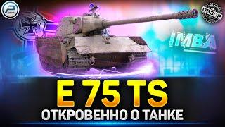 Обзор E 75 TS - Имба и точка  Мир Танков #e75ts #миртанков