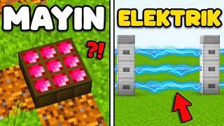 Evinizi Korumanın 10 Yolu Minecraft