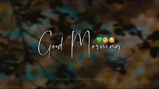 Good morning whatsapp status video Dil kho gya mera ye ho gya tera