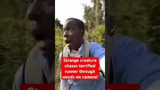 Strange Creature Chases Terrified Runner Through Woods on Camera  Bigfoot? Skin Walker?