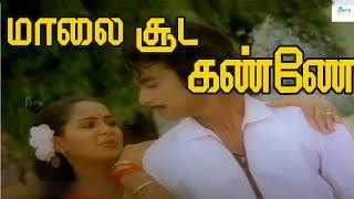 மாலை சூட கண்ணே ராதா  Maalai Sooda Kanne  Super Hit Tamil Love 4K Song #ilayaraja #spbsongs