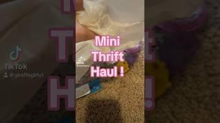 #mini #thrift #haul #lps #littlestpetshop #dollhouse #minitoys #toys #giraffegirl12345