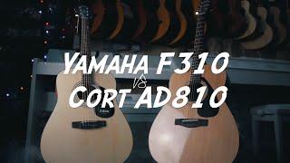 Yamaha F310 VS Cort AD810  Сравнительный обзор