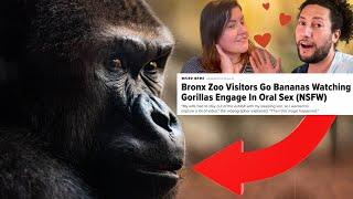 Gorillas Suck?