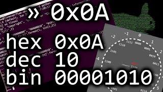 The deal with numbers hexadecimal binary and decimals - bin 0x0A