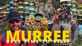 Which season is best for Murree?   Murree Pakistan