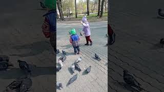 Lisa feeds pigeons in the park Gomel Belarus e2 #shorts