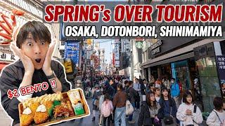 Introducing My Hometown Osaka Spring Over Tourism Season in Namba Dotonbori Local $2 Bento Ep.477