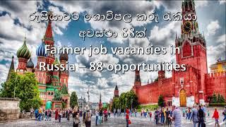 Foreign job vacancy  Farmer job vacancies in Russia  Jobs for Sri Lankans 