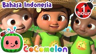 Ayo Kita Belajar Berkebun  CoComelon Bahasa Indonesia - Lagu Anak Anak  Nursery Rhymes