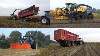 Mais hakselen en inkuilen door loonbedrijf Bouwhuis met New Holland FR550 en 3 T7 trekkers 2022