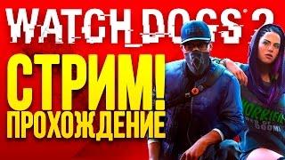 Watch Dogs 2 - СТРИМ ПРОХОЖДЕНИЕ #2