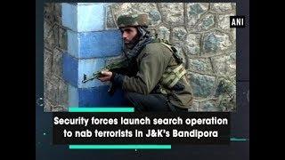 Security forces launch search operation to nab terrorists in J&K’s Bandipora