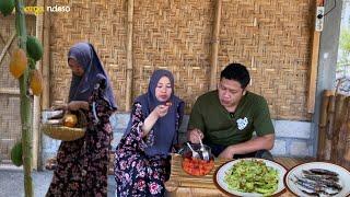 panen buah pepaya di kebun lanjut masak tumis pare teripindang goreng  masakan desa