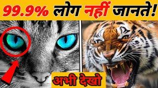 Amazing facts about Wild Animals  जंगली जानवरों के बारे में आश्चर्यजनक तथ्य #facts #youtube #viral