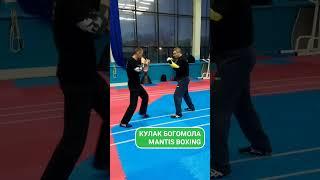 Стиль богомола. Две боевые комбинации - Mantis Boxing. 2 Combinations for Real Combat. 钢螳螂拳. Kung-Fu