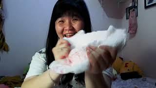 Softek Kaya Pampers Baby pembalut celana