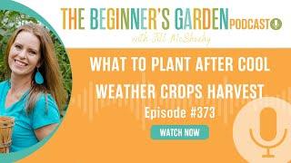 What to Plant After Cool Weather Crops Harvest